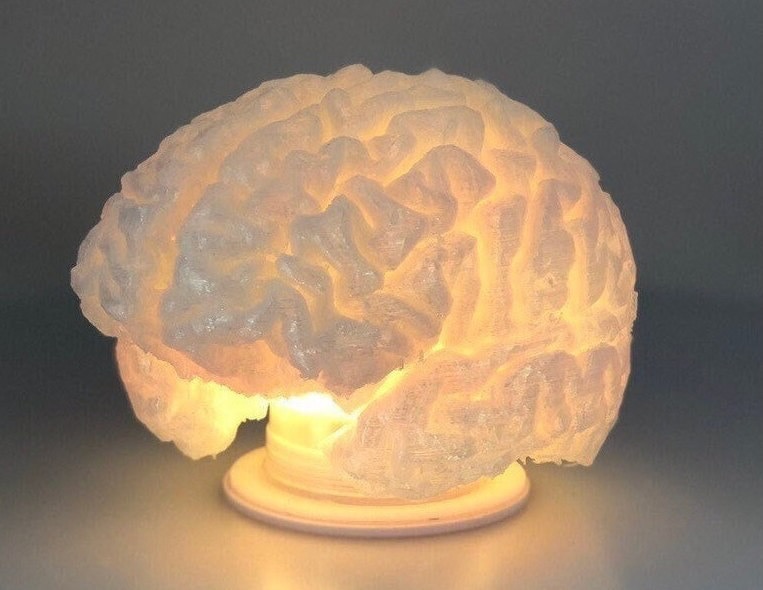 3D Printed Brain Lamp - Unique Anatomical Light from Brain Scan