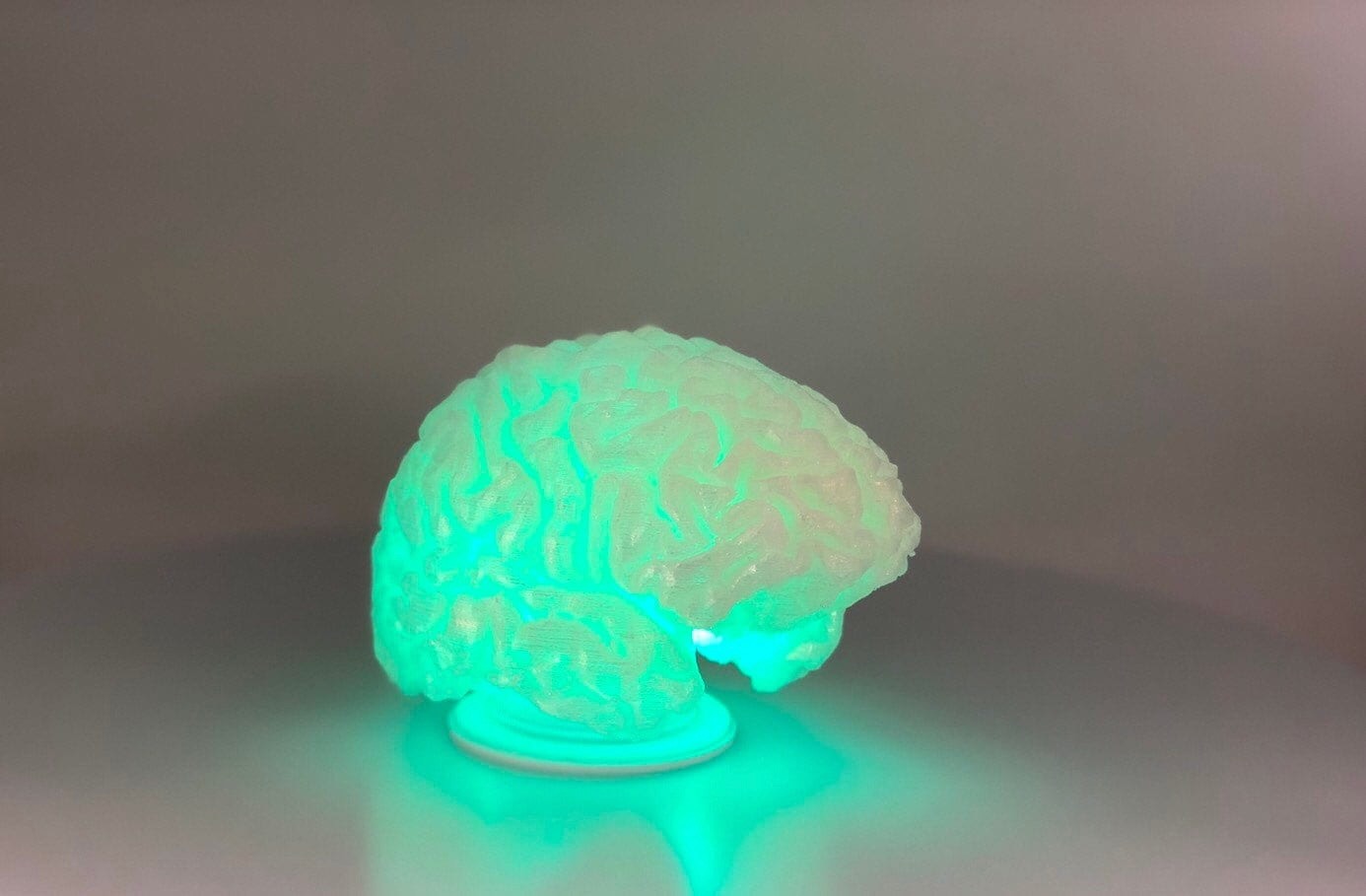3D Printed Brain Lamp - Unique Anatomical Light from Brain Scan - Image 2