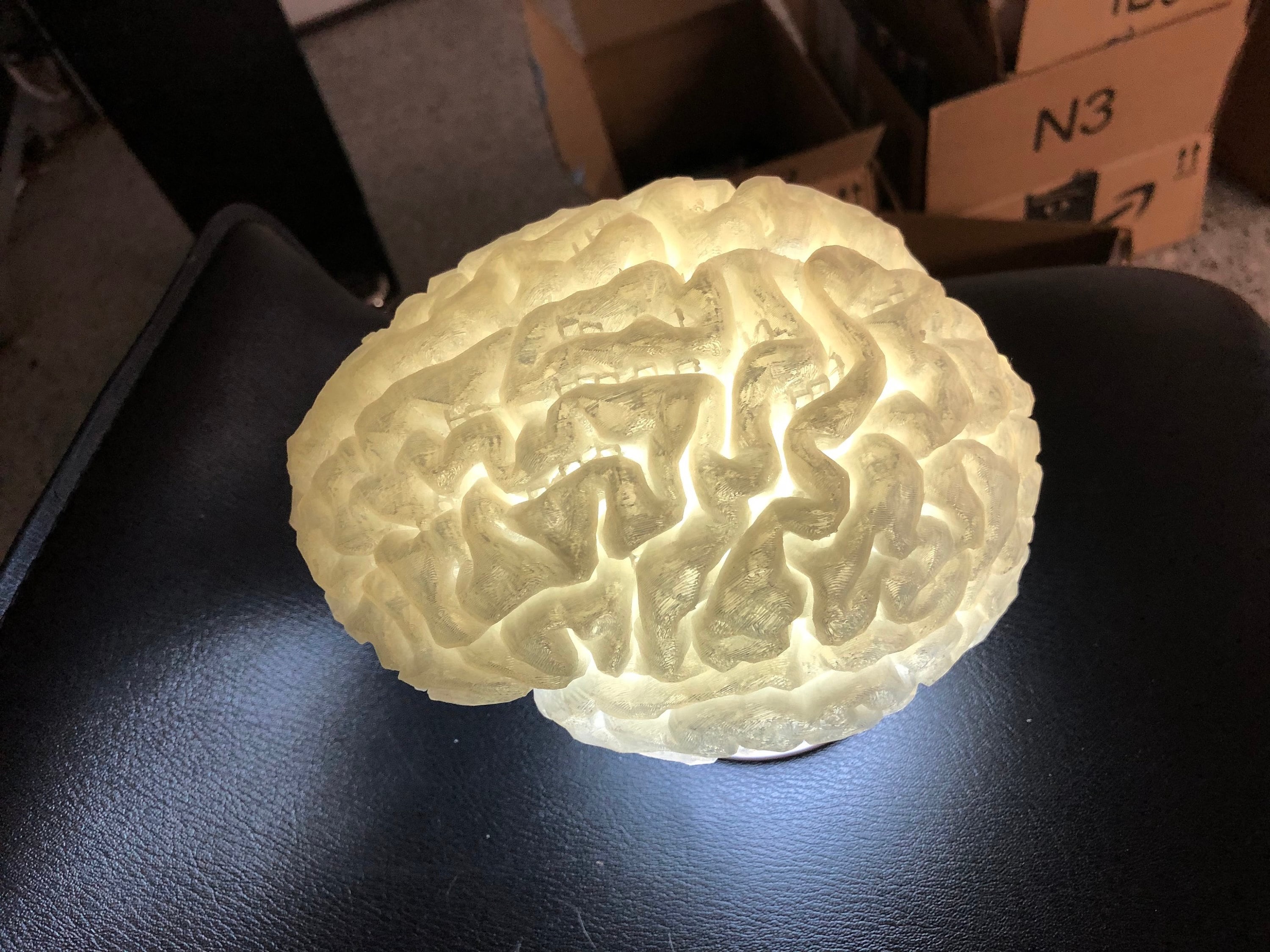 3D Printed Brain Lamp - Unique Anatomical Light from Brain Scan - Image 3