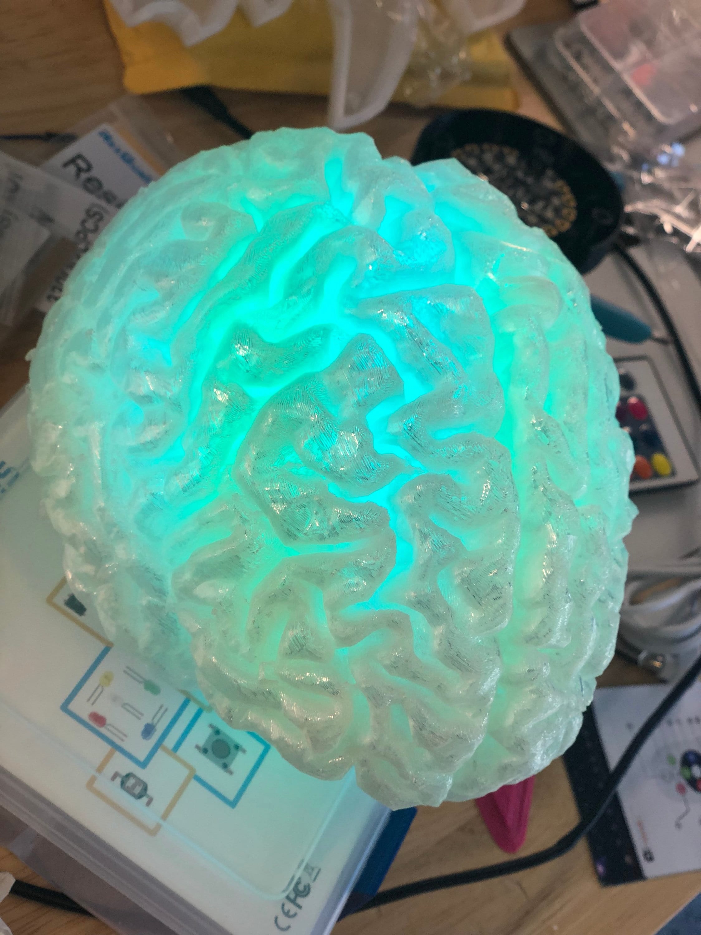 3D Printed Brain Lamp - Unique Anatomical Light from Brain Scan - Image 5