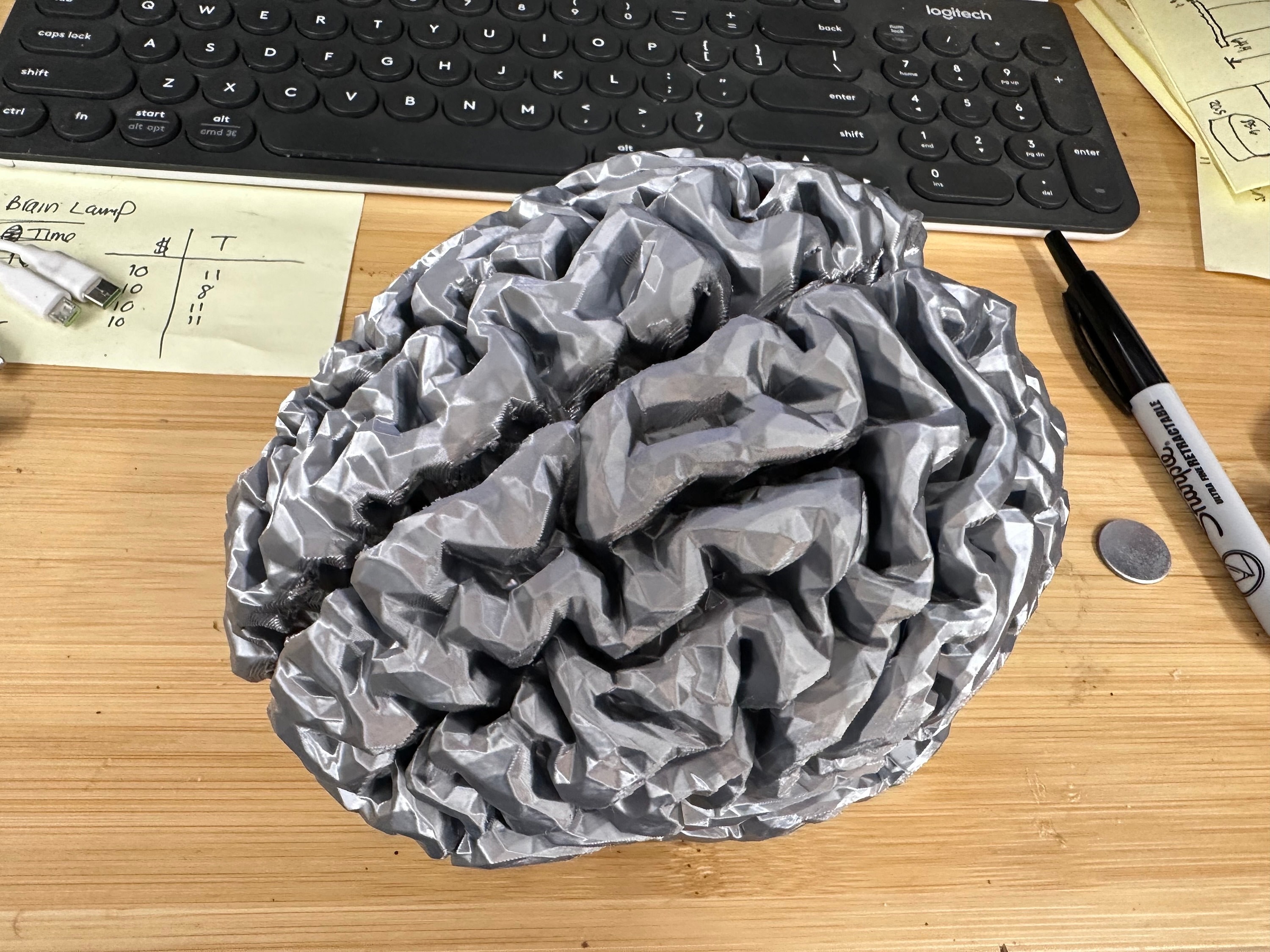 Life-Size 3D Printed Brain - Realistic Anatomical Model
