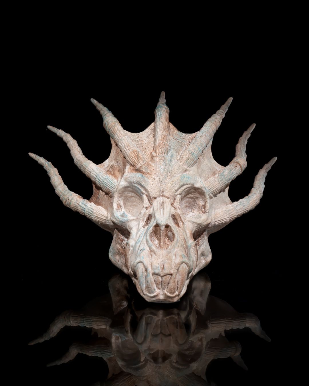 Blue Dragon Skull - 3D Printed Dragon Collectible - Image 3