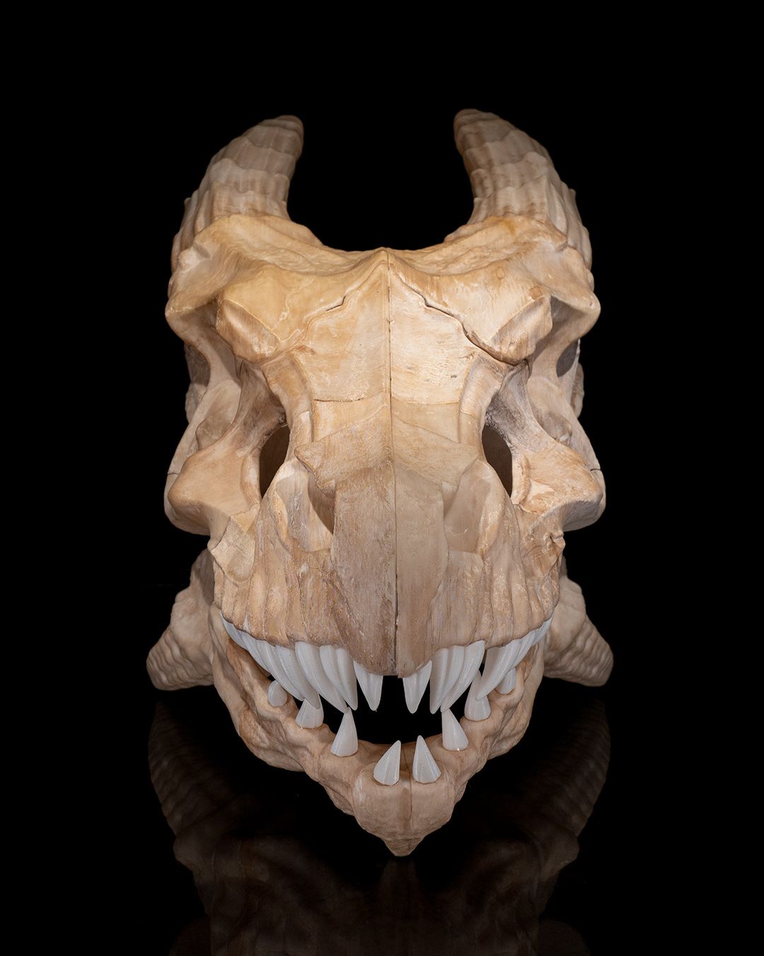 Epic Red Dragon Skull - 3D Printed Dragon Collectible - Image 4